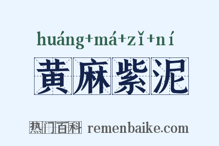 黄麻紫泥是什么意思的图片